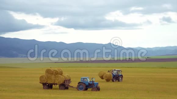 农业机械的收获拖拉机在麦田里收割后在机器上装载一捆干草视频的预览图