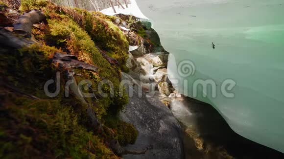 岩石流和融化的冰块与苔藓巨石在春天特写视频的预览图