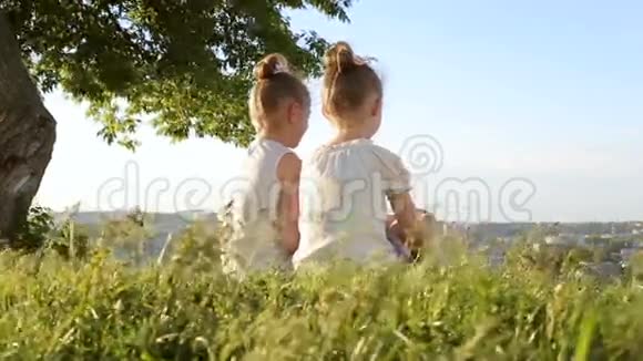 小女孩抱着妹妹坐在草地上视频的预览图