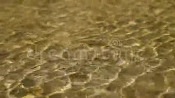 金沙背景下的水在阳光下闪闪发光视频的预览图
