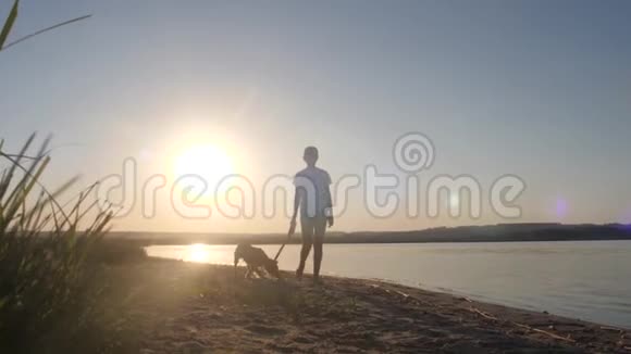 女孩在海滩上用皮带遛狗迎着夕阳视频的预览图