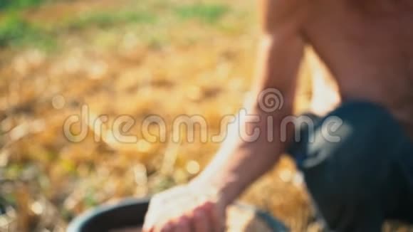 男勤劳的手显示出满满的一掌粮食土地背景下农民手中的粮食视频的预览图