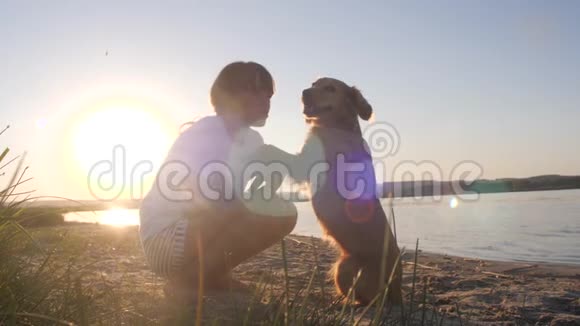 夏天女孩在海滩上和一只狗在阳光下玩耍时大笑视频的预览图