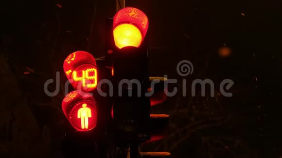 夜间的交通灯由红到绿视频的预览图