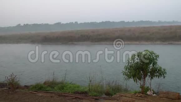 早晨雾蒙蒙的雾蒙江在尼泊尔奇旺国家公园视频的预览图