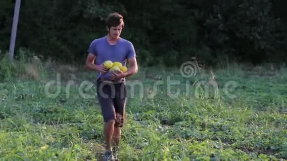 农夫手里拿着有机瓜在田野上散步视频的预览图