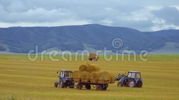 农业机械的收获拖拉机在麦田里收割后在机器上装载一捆干草视频的预览图