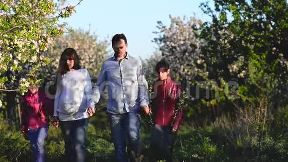 孕妈妈爸爸和孩子走着朵朵春园幸福的家庭在花园里休息视频的预览图