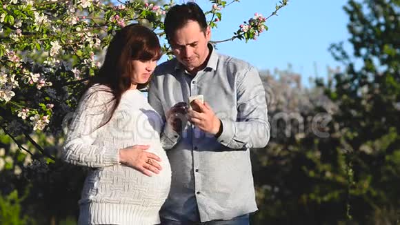 在春暖花开的公园里丈夫和怀孕的妻子在触摸屏手机上看着照片幸福的一对夫妇期待着一个美好的爱情视频的预览图