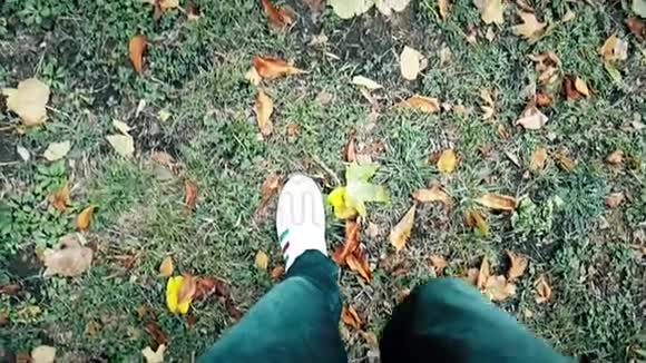 在五颜六色的秋叶和秋叶的地毯上男人走在最高的视野上把白色的球鞋贴紧视频的预览图