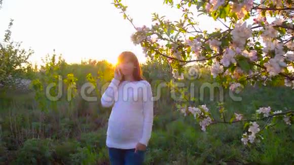 快乐的怀孕女孩在盛开的春天公园日落时打电话怀孕的女孩手机被阳光照亮视频的预览图