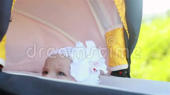 宝贝盯着公园里的婴儿车视频的预览图