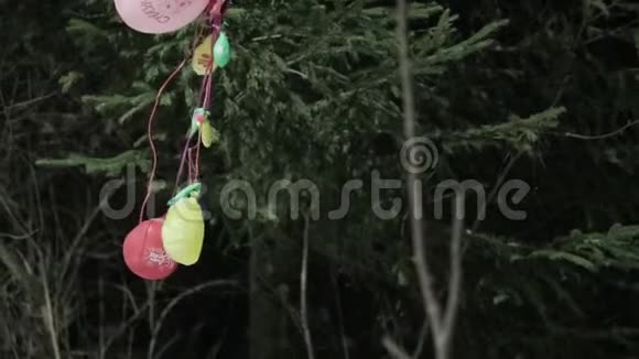 冬天旧气球挂在树上视频的预览图