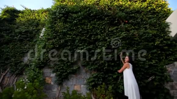 一个长着常春藤的高石墙背景上美丽的女孩视频的预览图