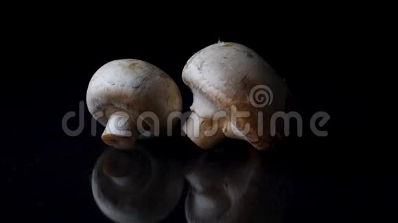 黑色背景的香槟框架整个蘑菇在黑镜背景上旋转合上美味的白色视频的预览图