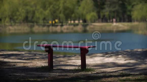 在湖边公园的长椅视频的预览图