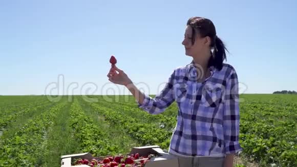 站在种植园背景下拿着草莓的年轻漂亮女孩视频的预览图