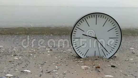 4K时间概念背景沙滩上的时钟海洋上的海鸥视频的预览图