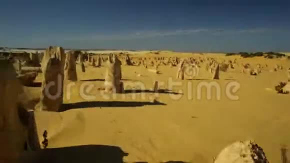 藤壶沙漠POV视频的预览图