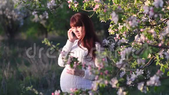 在盛开的苹果园打电话的孕妇在盛开的春天公园散步的女孩视频的预览图