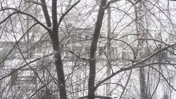 在一个多云的冬日降雪的城市里白雪皑皑的树枝视频的预览图