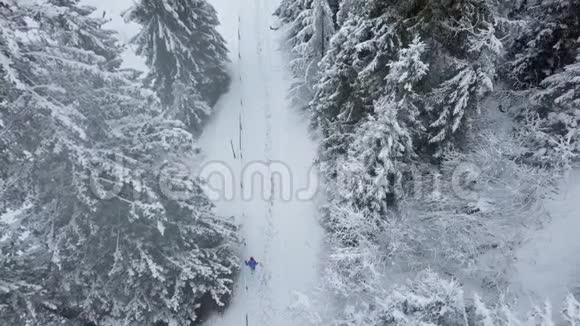 在雪山针叶林中飞过暴风雪从山上下来的女孩不舒服视频的预览图
