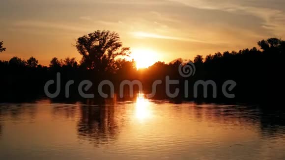 美丽的风景日落在湖边的森林上时间流逝视频的预览图