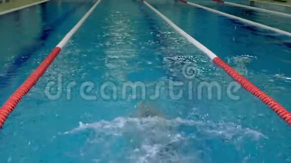 游泳池里的运动员在水下游泳视频的预览图