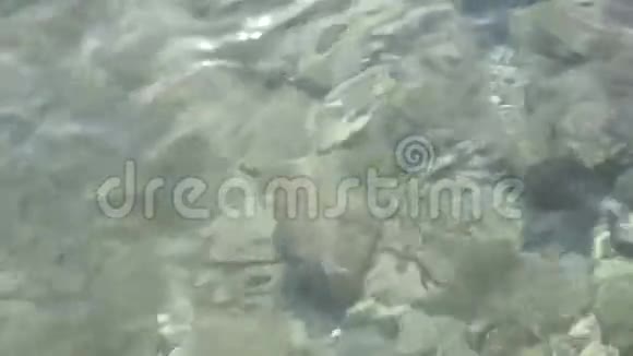李尔海水与石头底部视频的预览图