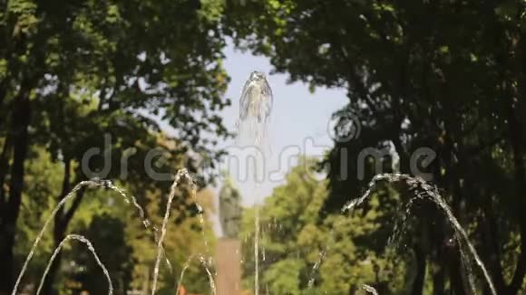 喷泉水喷溅绿色中央公园历史古迹视频的预览图