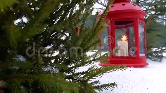 圣诞灯笼特写圣诞红灯笼矗立在一棵圣诞树下灯笼上燃着蜡烛视频的预览图