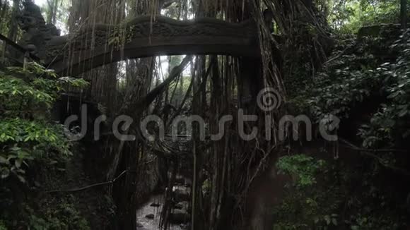 印度尼西亚乌布德附近圣猴森林的著名龙桥视频的预览图