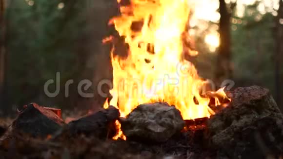 美丽的篝火燃烧视频的预览图