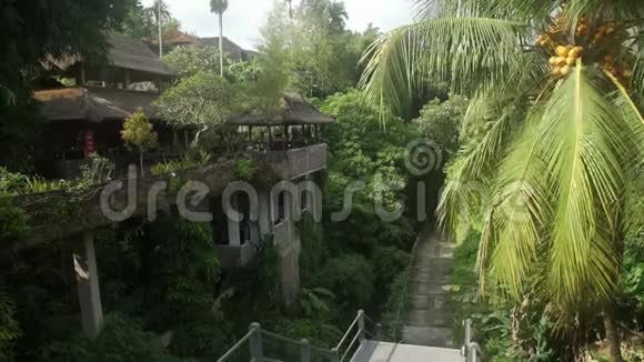 印尼巴厘岛丛林餐厅视频的预览图