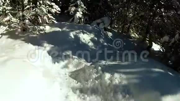 疯狂的极端乘坐滑雪板穿过厚厚的雪林肾上腺素激增视频的预览图