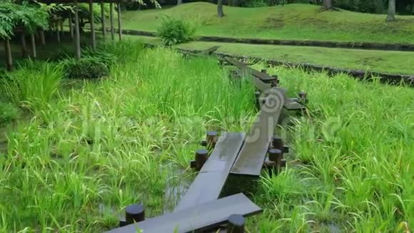 东京的Korakuen花园一个美丽的地方日本东京2018年6月12日视频的预览图