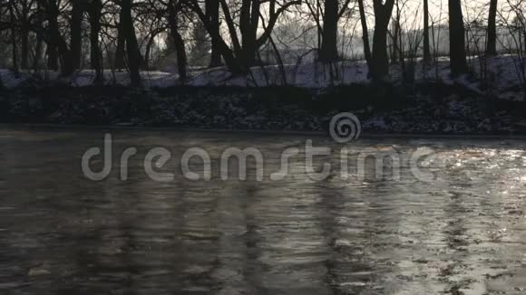 晨曦和树影在溪流中倒影视频的预览图