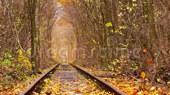 秋色树下废弃的铁路视频的预览图