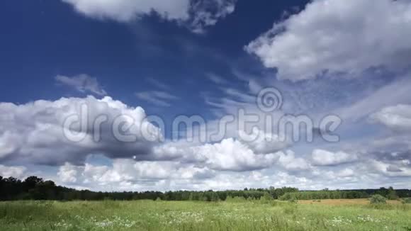 移动的云与草地带广角透镜的延时视频的预览图