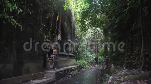 自然丛林中靠近河流的寺庙印度尼西亚巴厘雨林视频的预览图