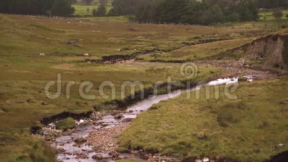 在爱尔兰乡间拍摄的小河视频的预览图