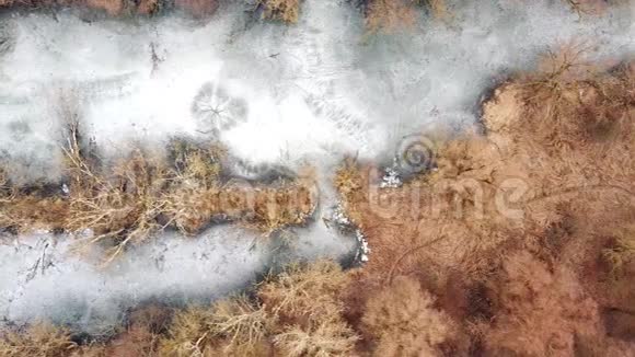在冰冻的河流上惊慌失措视频的预览图