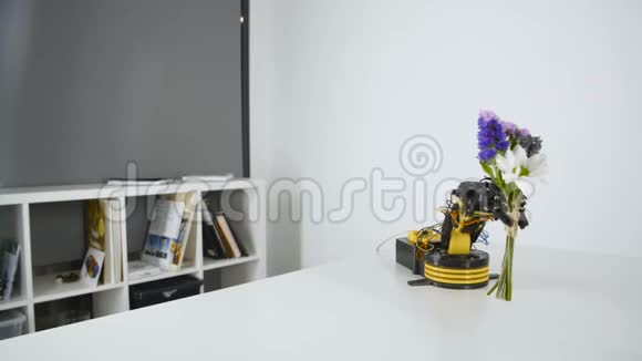 机器人手臂给女孩一束花智能机械手实验工业机器人模型视频的预览图