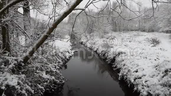 英国考文垂大雪纷飞维肯克罗夫特自然公园覆盖着冰圣诞节时间视频的预览图