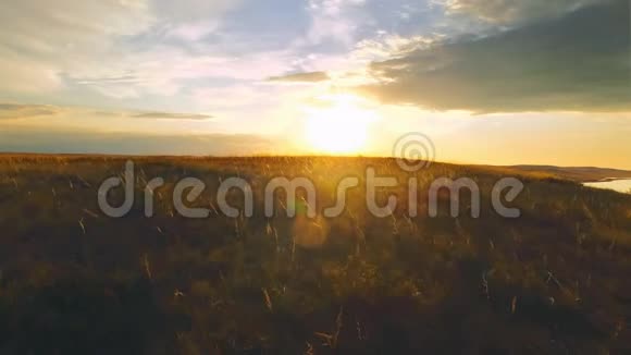 乡村田野的金色夕阳黄昏的日落阴天的金色太阳视频的预览图