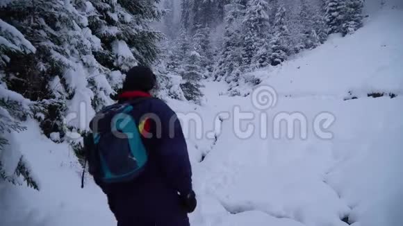 一个年轻人独自走过一片雪林年轻漂亮的游客偷偷地溜过雪地他环顾四周视频的预览图