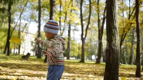 这孩子在秋天的公园里转着黄叶在新鲜的空气中漫步视频的预览图