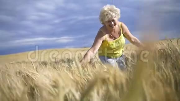 女人在麦田里手抚摸着麦子视频的预览图