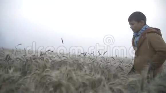 黎明时分男孩奔跑在金色的田野上露水薄雾在麦田里视频的预览图