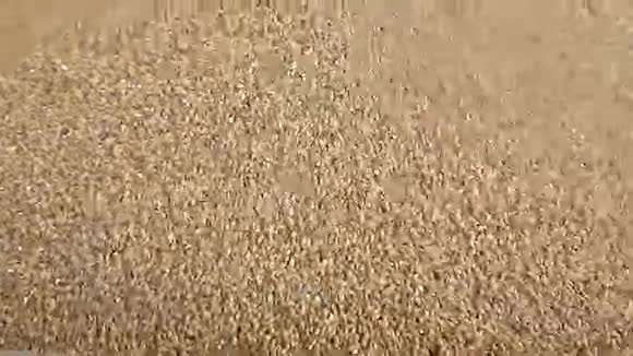 掉落的黑麦谷物视频的预览图